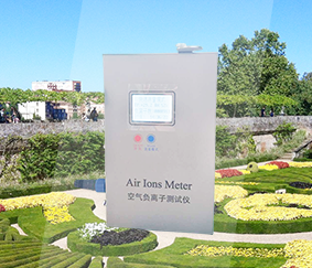 ZK-NIP型負(fù)氧離子檢測儀