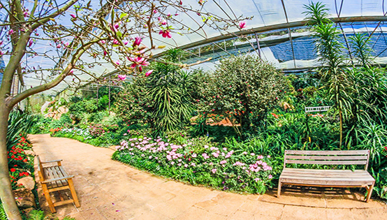 我國環(huán)境治理過高，依賴行政手段，缺少市場化調(diào)節(jié)