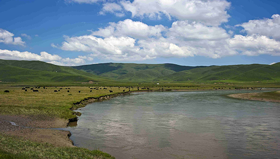 垃圾發(fā)電行業(yè)普遍擔(dān)憂補貼 “退坡”