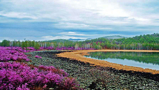 廢棄的鹽水：生態(tài)問題還是經(jīng)濟機遇？