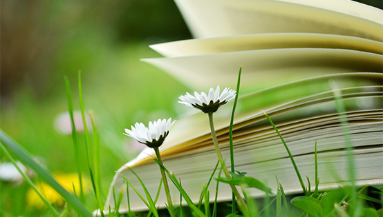 汪洋在新疆調(diào)研：牢牢把握總目標 推動新疆大局持續(xù)向好