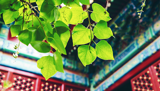 北京去年全面完成環(huán)保年度目標(biāo)