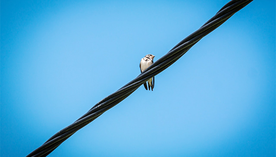 固定污染源廢氣 非甲烷總烴排放連續(xù)監(jiān)測技術指南（試行）