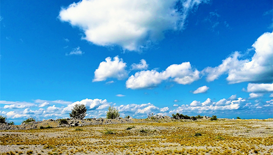 黑龍江大慶市打贏藍(lán)天保衛(wèi)戰(zhàn)三年行動(dòng)計(jì)劃