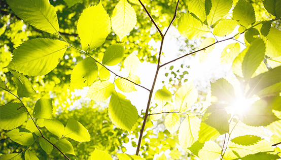 環(huán)境監(jiān)測市場規(guī)模躍上萬億 哪些建設(shè)項(xiàng)目和監(jiān)測設(shè)備迎新政