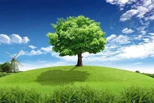 生態(tài)環(huán)境部部長黃潤秋在《經濟日報》發(fā)表署名文章